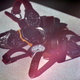 Illustration for article titled Shooting Challenge Freelensing Gallery 1